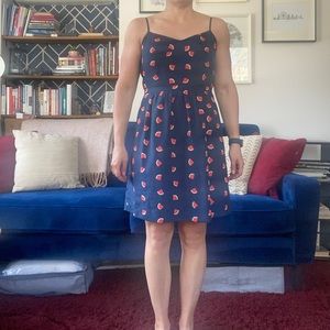 Jcrew blue mini dress with watermelons, size 4